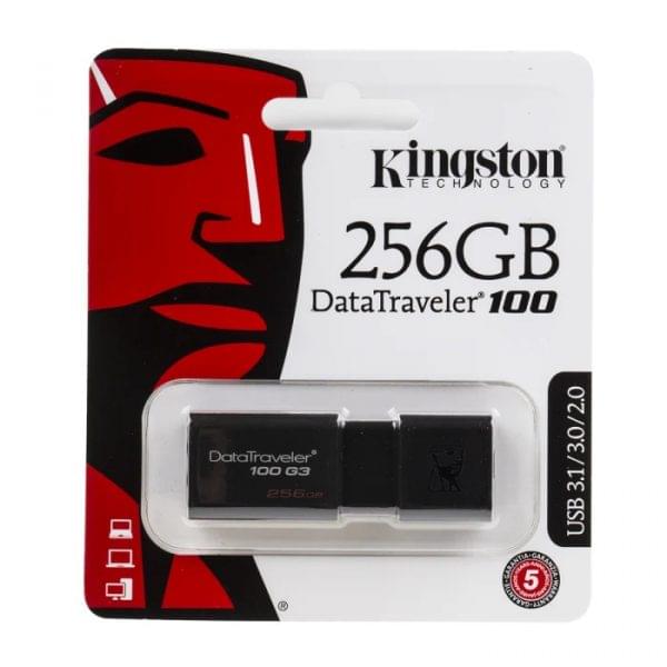 Kingston Memory Stick 256GB